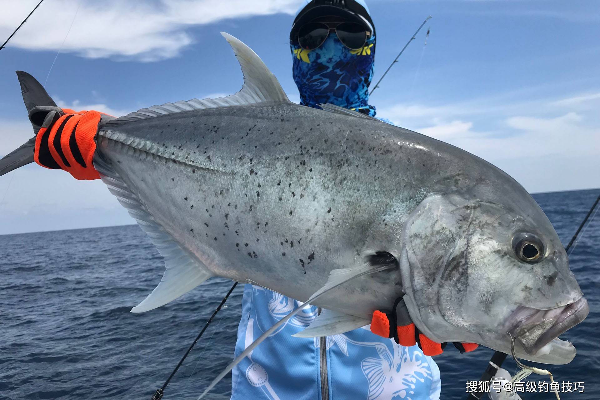 冬季能海钓鱼吗(冬季海里能钓什么鱼)