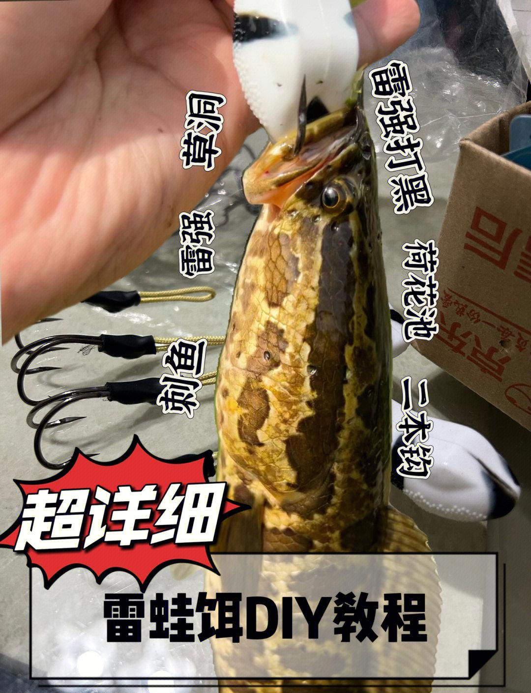 怎么调饵料不稀(钓鱼饵料怎么调不散) 怎么调饵料不稀(钓鱼饵料怎么调不散)