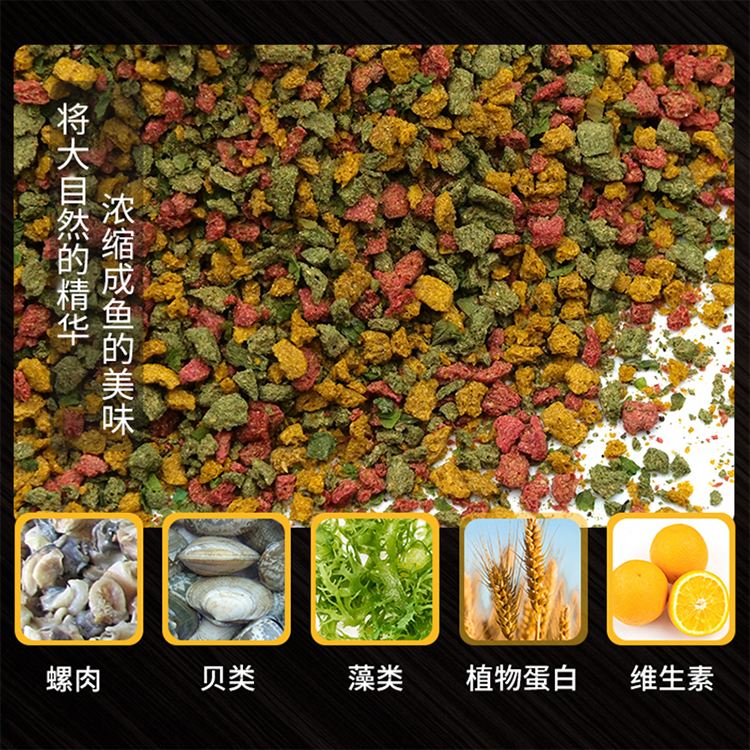 螺鲤饵料介绍(螺鲤饵料介绍怎么写)