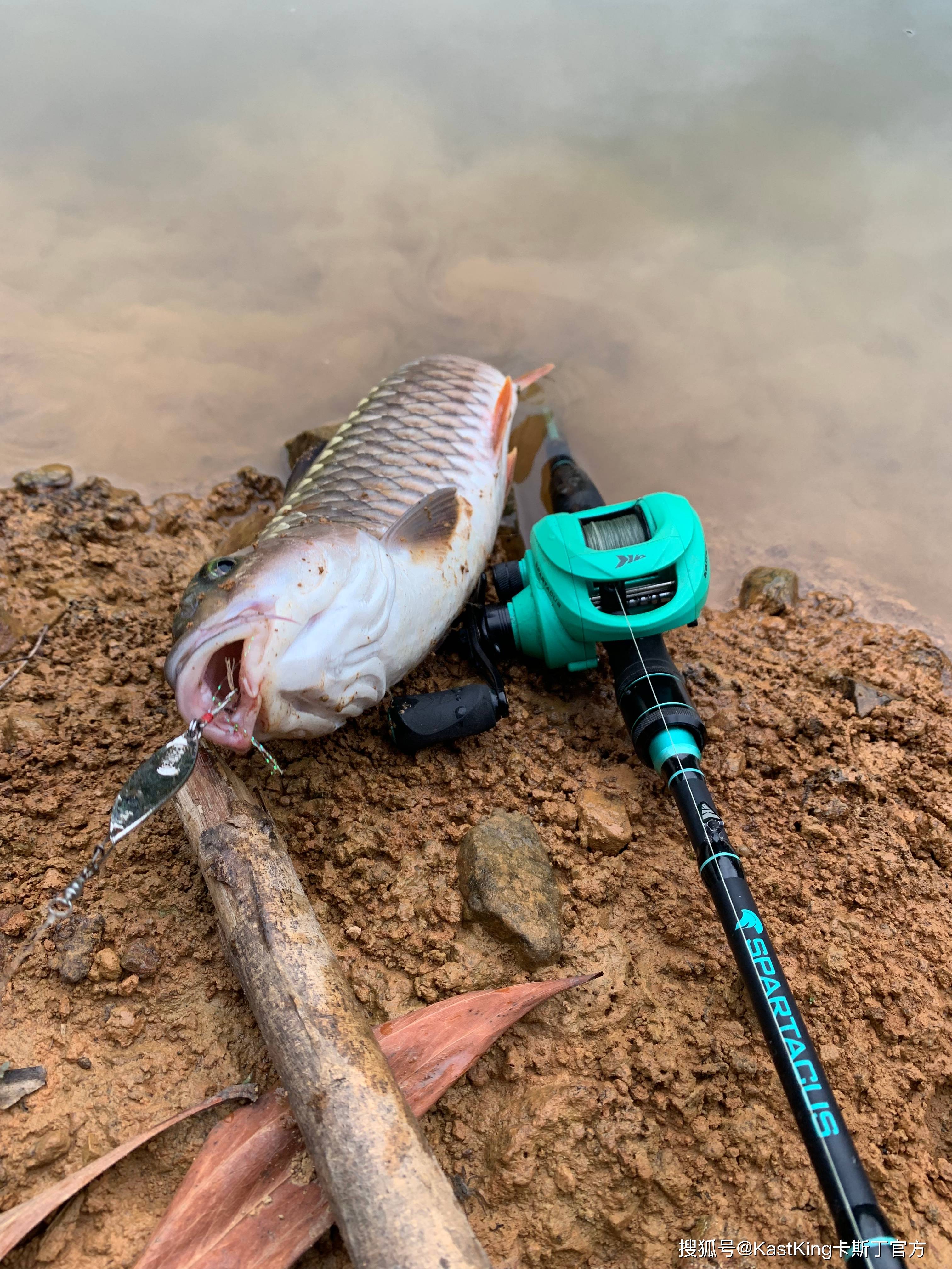 夏季路亚钓鱼(夏天路亚鱼种)