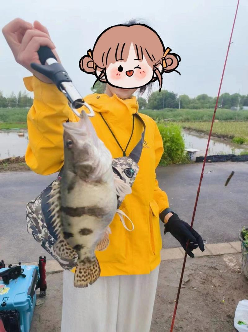 路亚鲳(路亚鲳鱼线组)