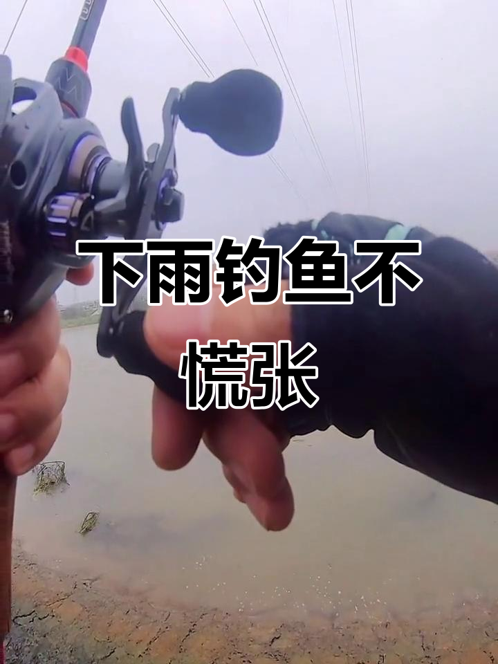 秋季下雨降温钓鱼技巧(入秋下雨降温好钓鱼吗) 秋季下雨降温钓鱼技巧(入秋下雨降温好钓鱼吗)