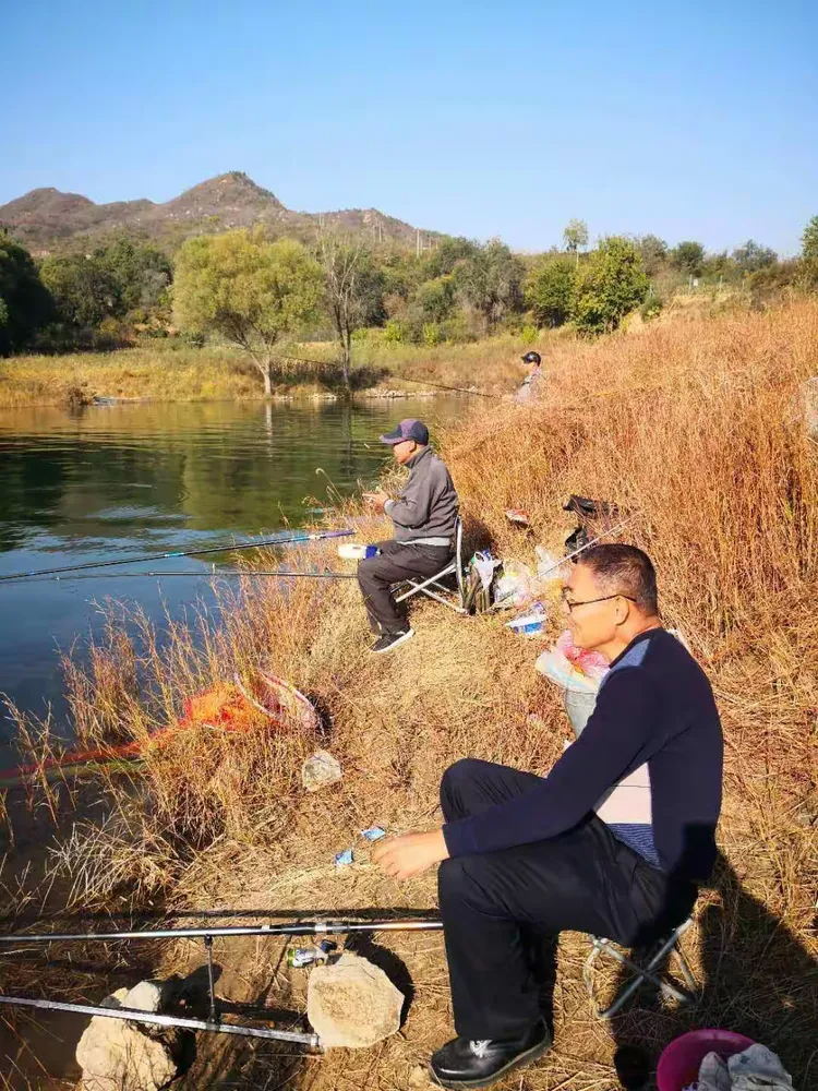 霜降钓鱼鲤鱼儿技巧(霜降野钓鲤鱼技巧) 霜降钓鱼鲤鱼儿技巧(霜降野钓鲤鱼技巧)