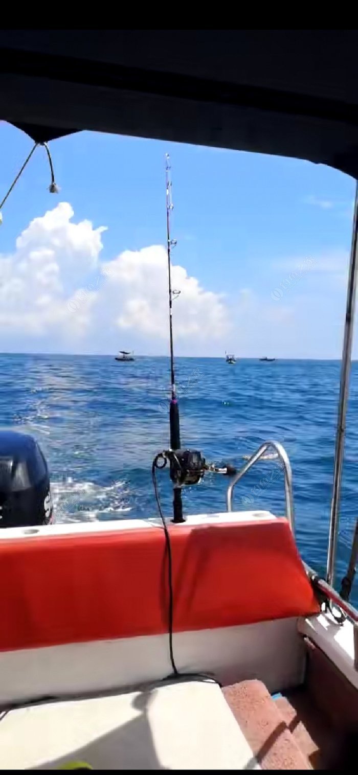 汕尾厚门海钓(汕尾哪里可以海钓) 汕尾厚门海钓(汕尾哪里可以海钓)