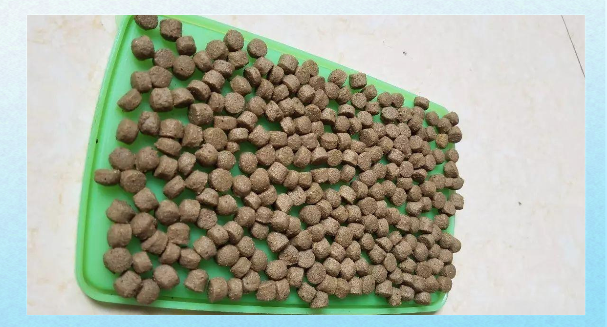 筏钓竿上什么饵料(筏竿钓什么鱼用?) 筏钓竿上什么饵料(筏竿钓什么鱼用?)