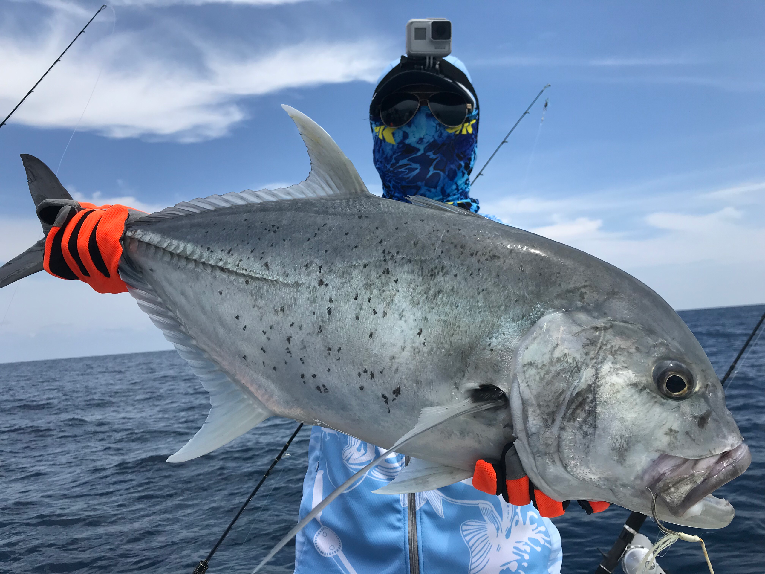 唐山路亚海钓点(唐山哪里可以路亚黑鱼) 唐山路亚海钓点(唐山哪里可以路亚黑鱼)