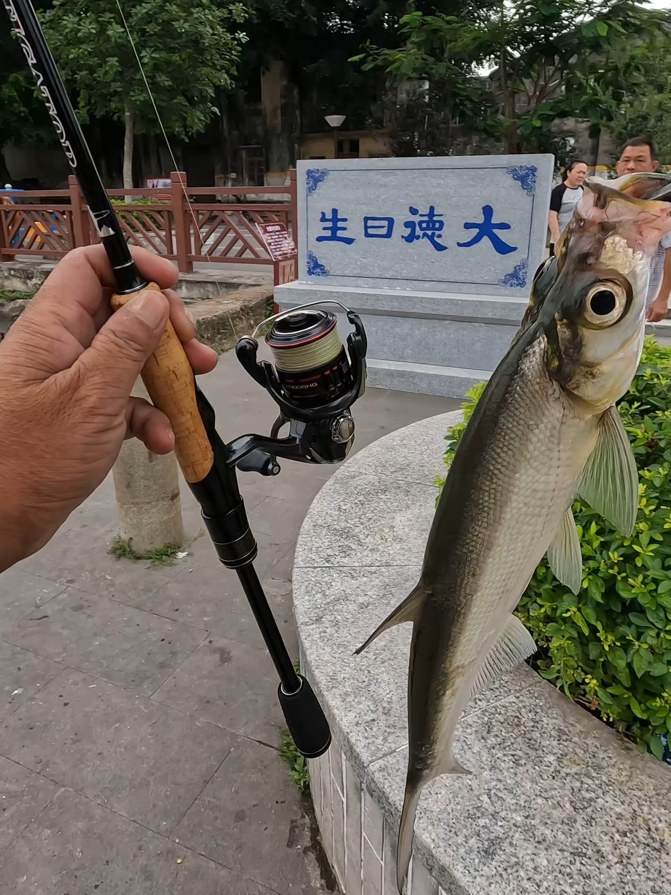 路亚钓场多少钱(钓鱼的路亚多少钱一个) 路亚钓场多少钱(钓鱼的路亚多少钱一个)