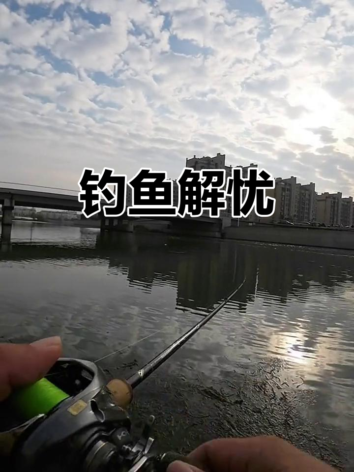 台钓技巧抛竿(台钓如何抛竿视频教程) 台钓技巧抛竿(台钓如何抛竿视频教程)