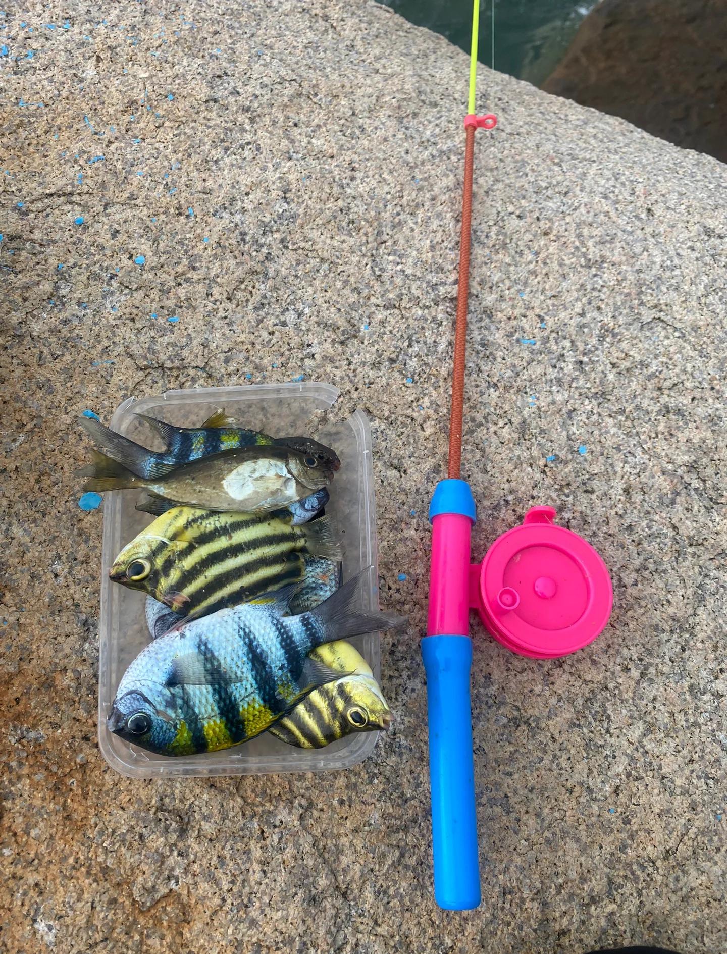 海钓竿子清洗(海钓竿怎么拆)