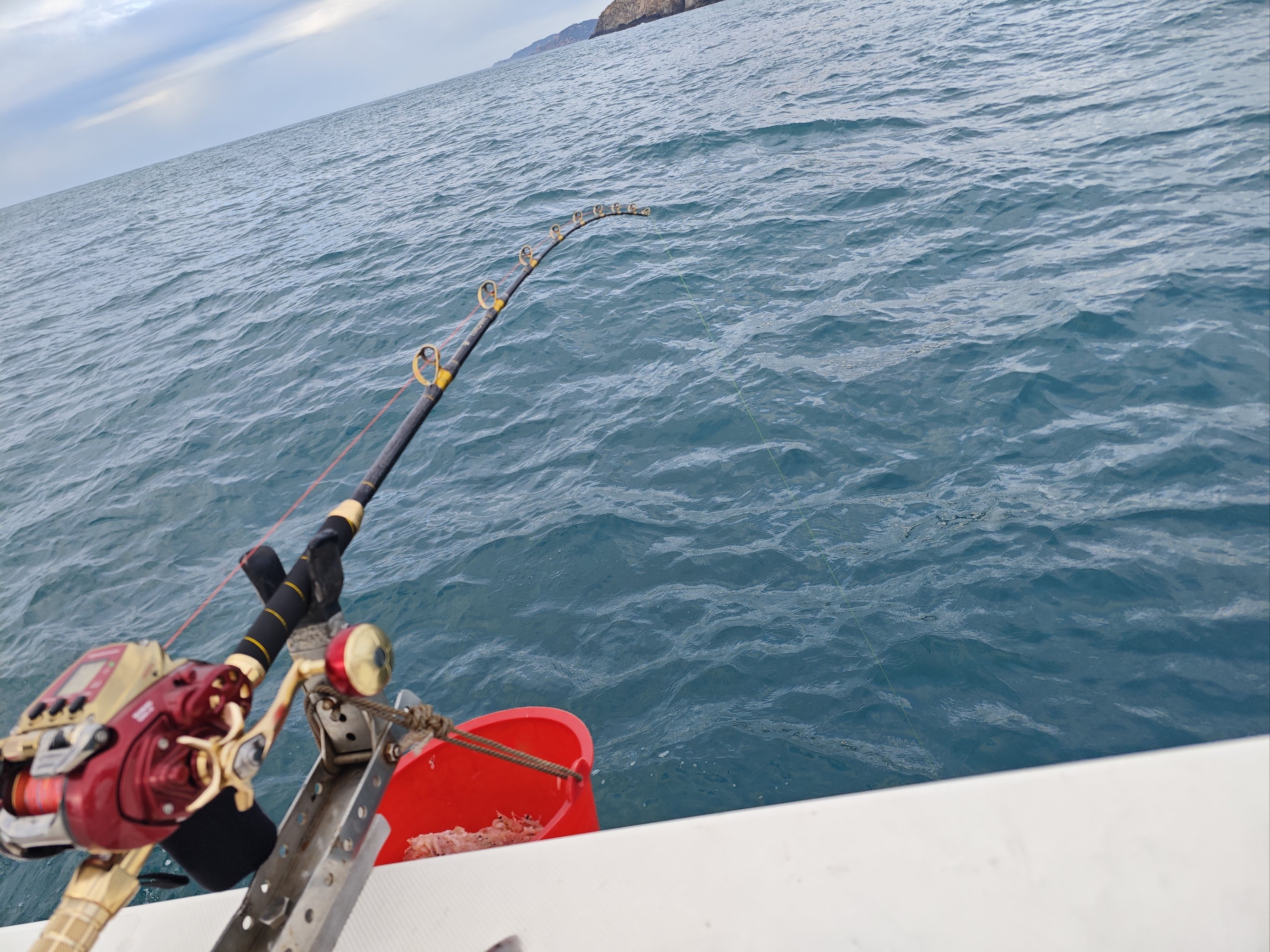 福建海钓论坛(福建海钓论坛最新消息)