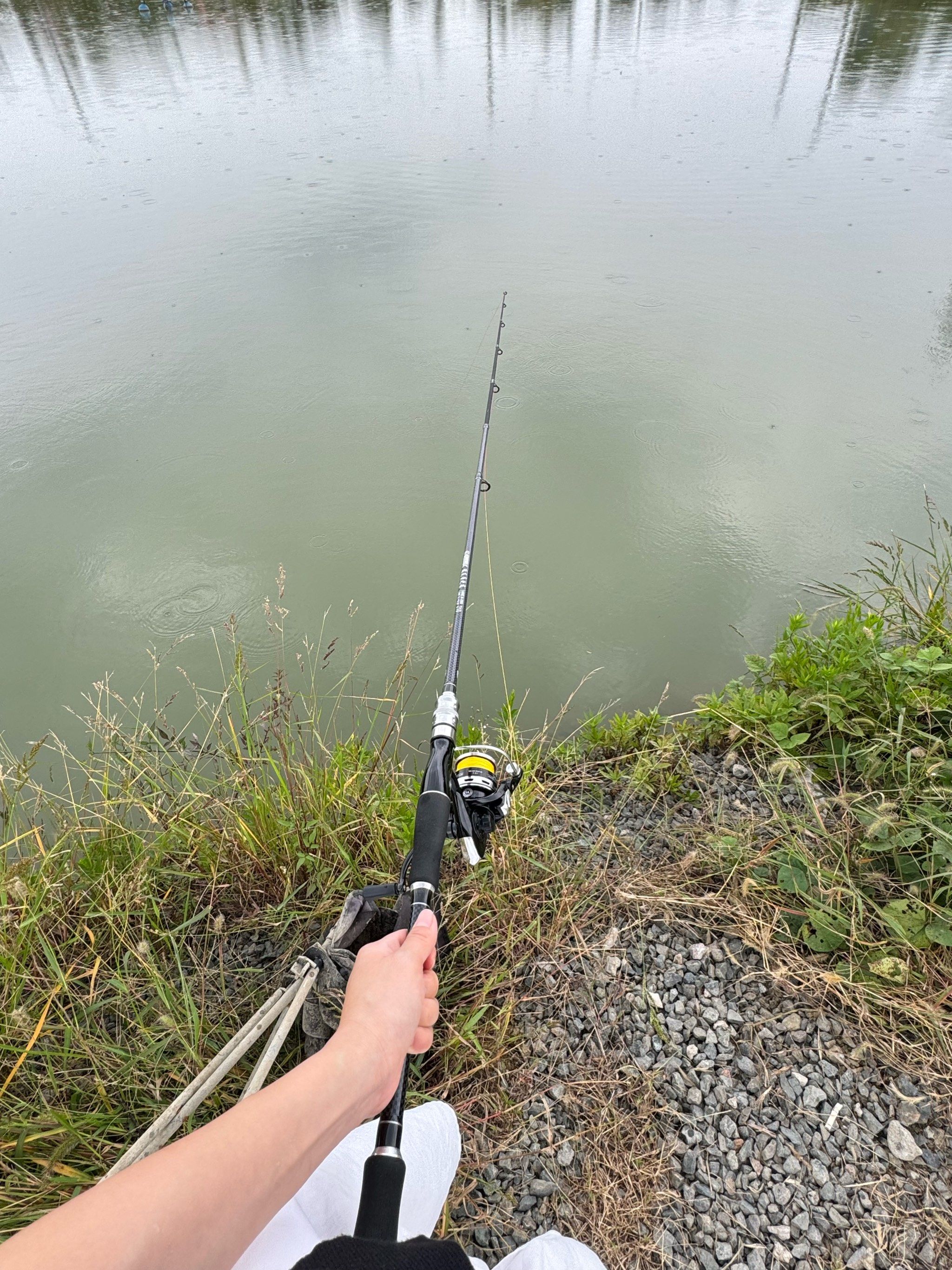 野湖钓鱼技巧(湖里怎样钓鱼) 野湖钓鱼技巧(湖里怎样钓鱼)