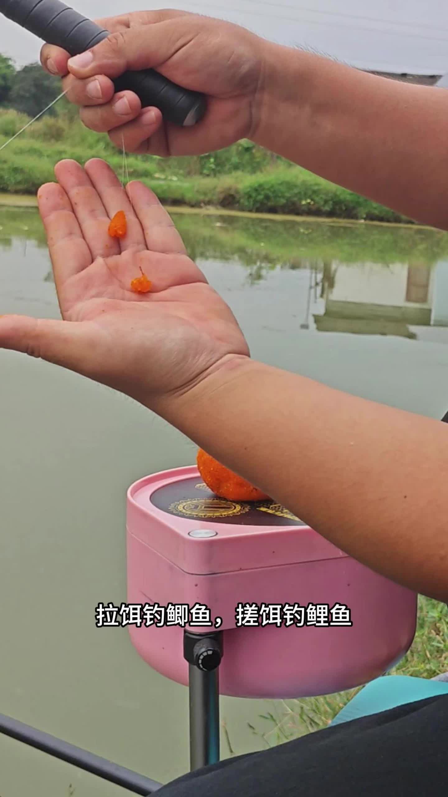 钓鲤鱼自制饵料(如何自制钓鲤鱼饵料) 钓鲤鱼自制饵料(如何自制钓鲤鱼饵料)