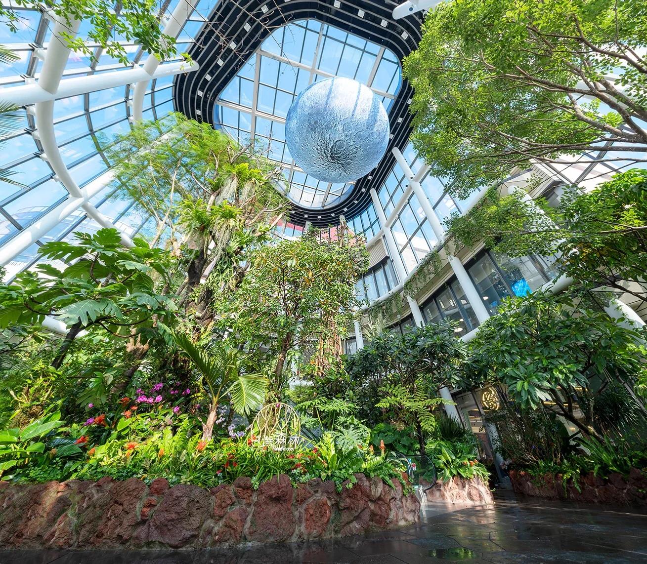 嘉定路亚点(上海路亚点) 嘉定路亚点(上海路亚点)