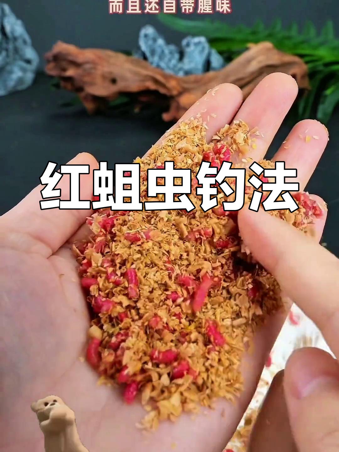 红虫颗粒钓鱼技巧(红虫颗粒钓鱼效果) 红虫颗粒钓鱼技巧(红虫颗粒钓鱼效果)