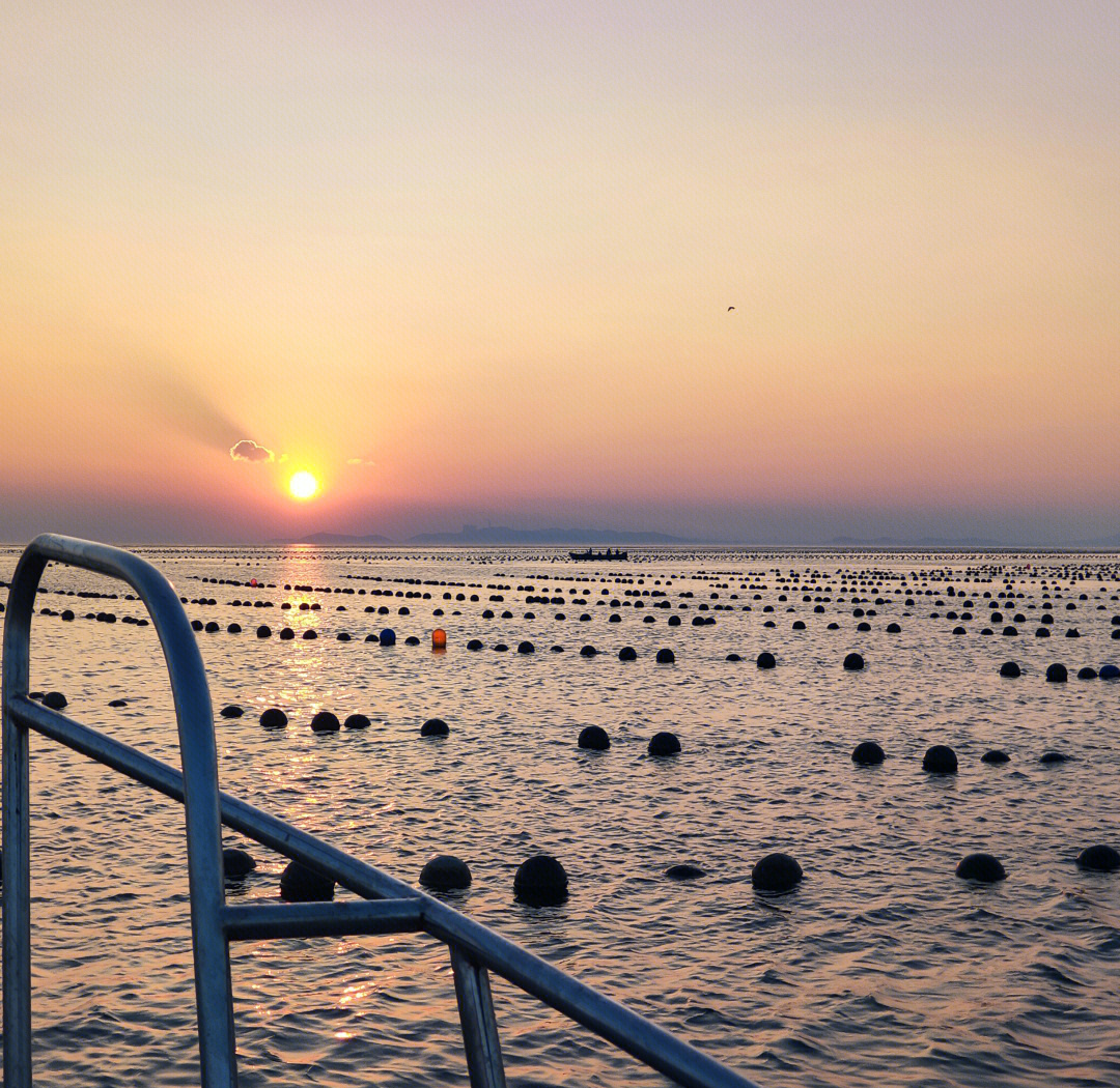 烟台哪里有海钓的(烟台海边钓点) 烟台哪里有海钓的(烟台海边钓点)
