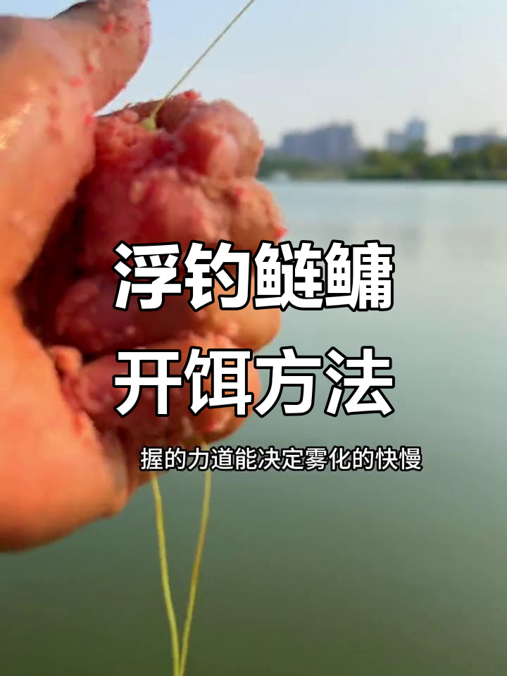 钓鲢鳙鱼的抛竿技巧(抛竿野钓鲢鳙) 钓鲢鳙鱼的抛竿技巧(抛竿野钓鲢鳙)