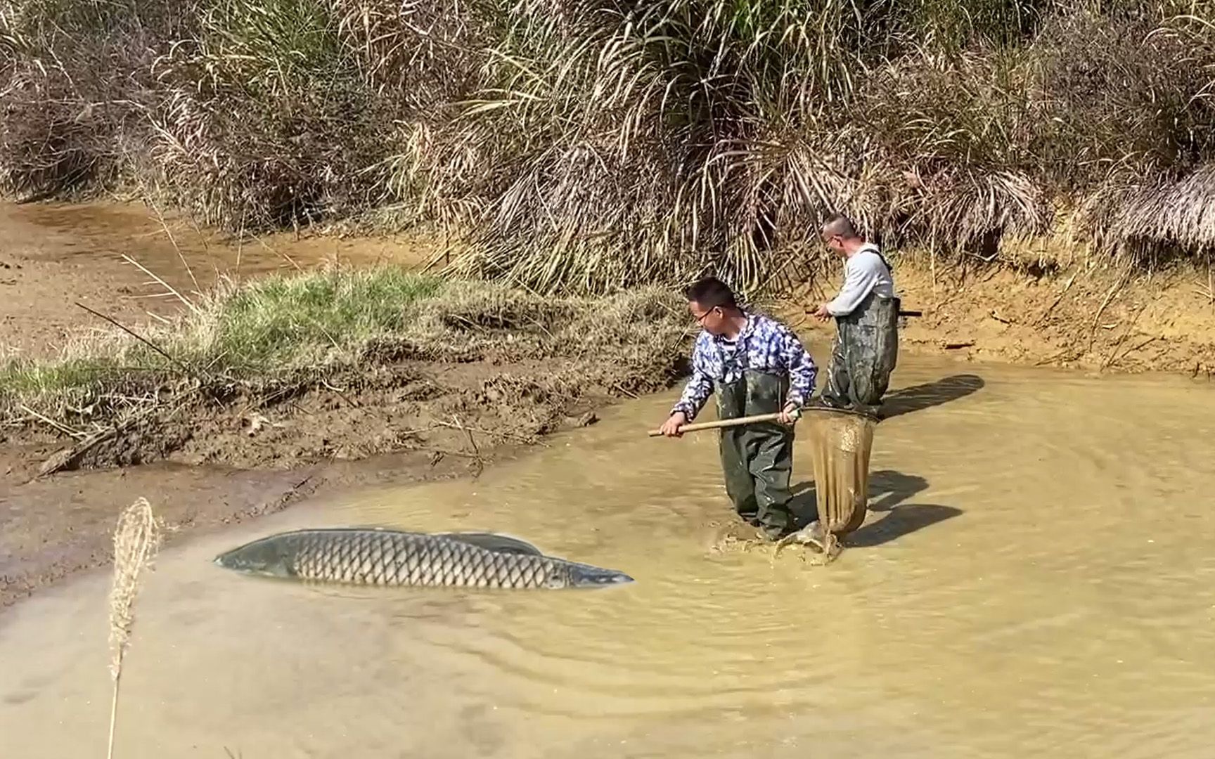 水库放水抓鱼技巧(水库放水怎么抓鱼) 水库放水抓鱼技巧(水库放水怎么抓鱼)