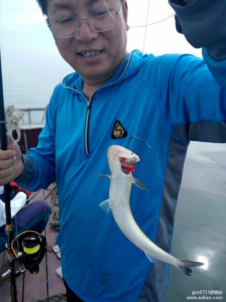 莱州新港海钓(莱州三山岛海钓攻略) 莱州新港海钓(莱州三山岛海钓攻略)