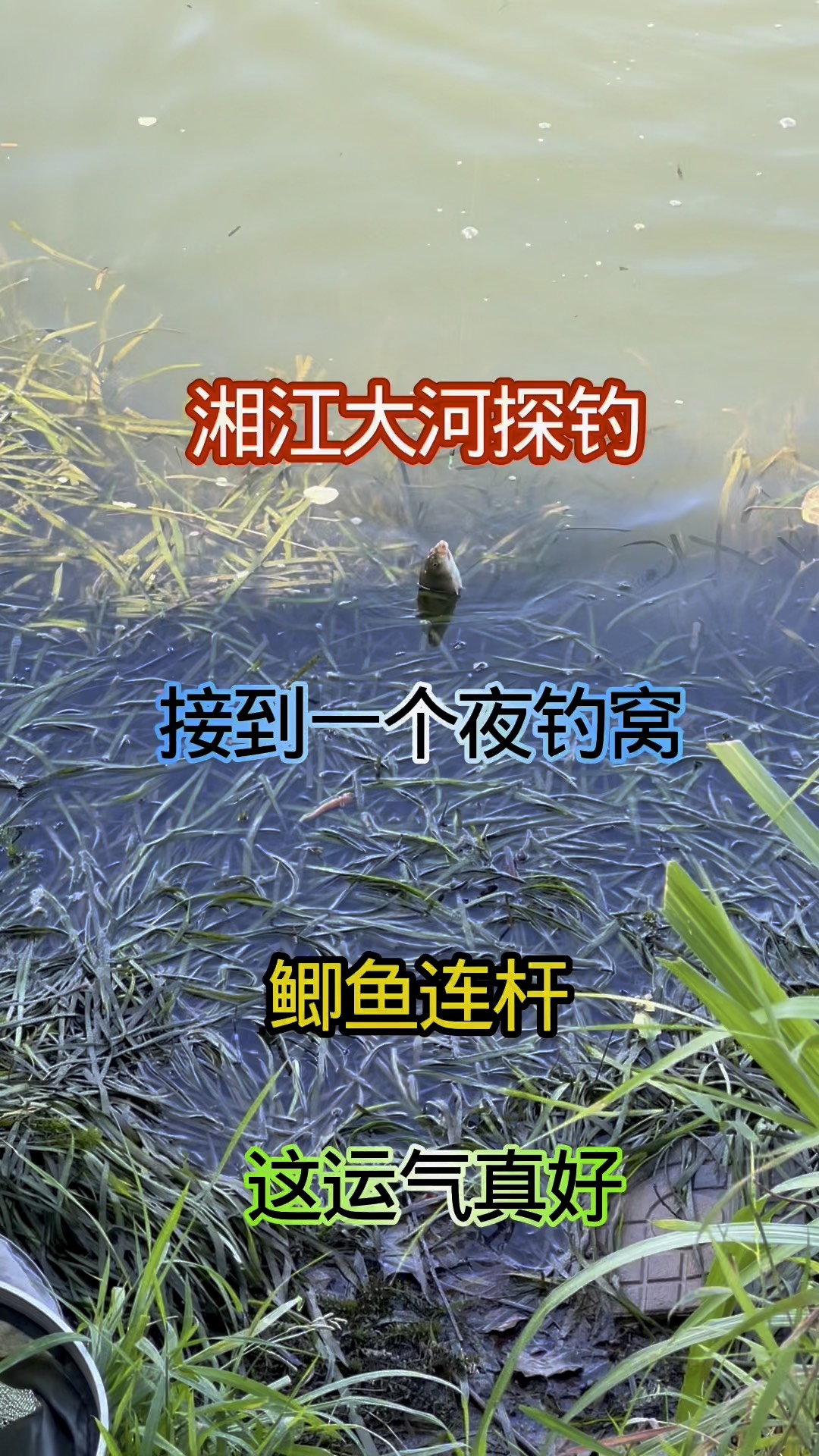 大河冬天钓鱼技巧(冬季大河钓鱼技巧)