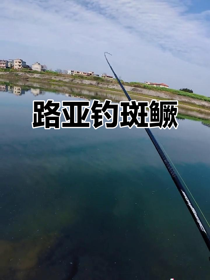 惊蛰路亚鳜鱼(路亚鳜鱼视频) 惊蛰路亚鳜鱼(路亚鳜鱼视频)