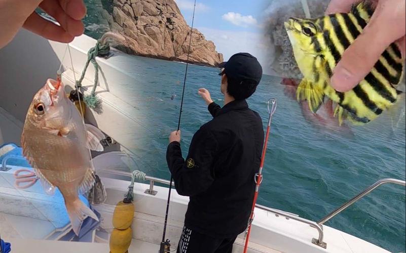 庙子湖海钓(东极岛和庙子湖岛是一个岛吗) 庙子湖海钓(东极岛和庙子湖岛是一个岛吗)