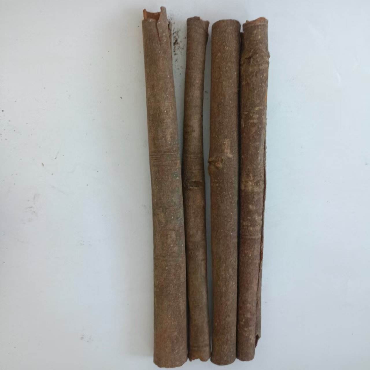 饵料放点桂皮(桂皮粉钓鱼)