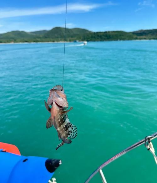 海钓诱饵到海底吗(海里钓鱼鱼饵) 海钓诱饵到海底吗(海里钓鱼鱼饵)