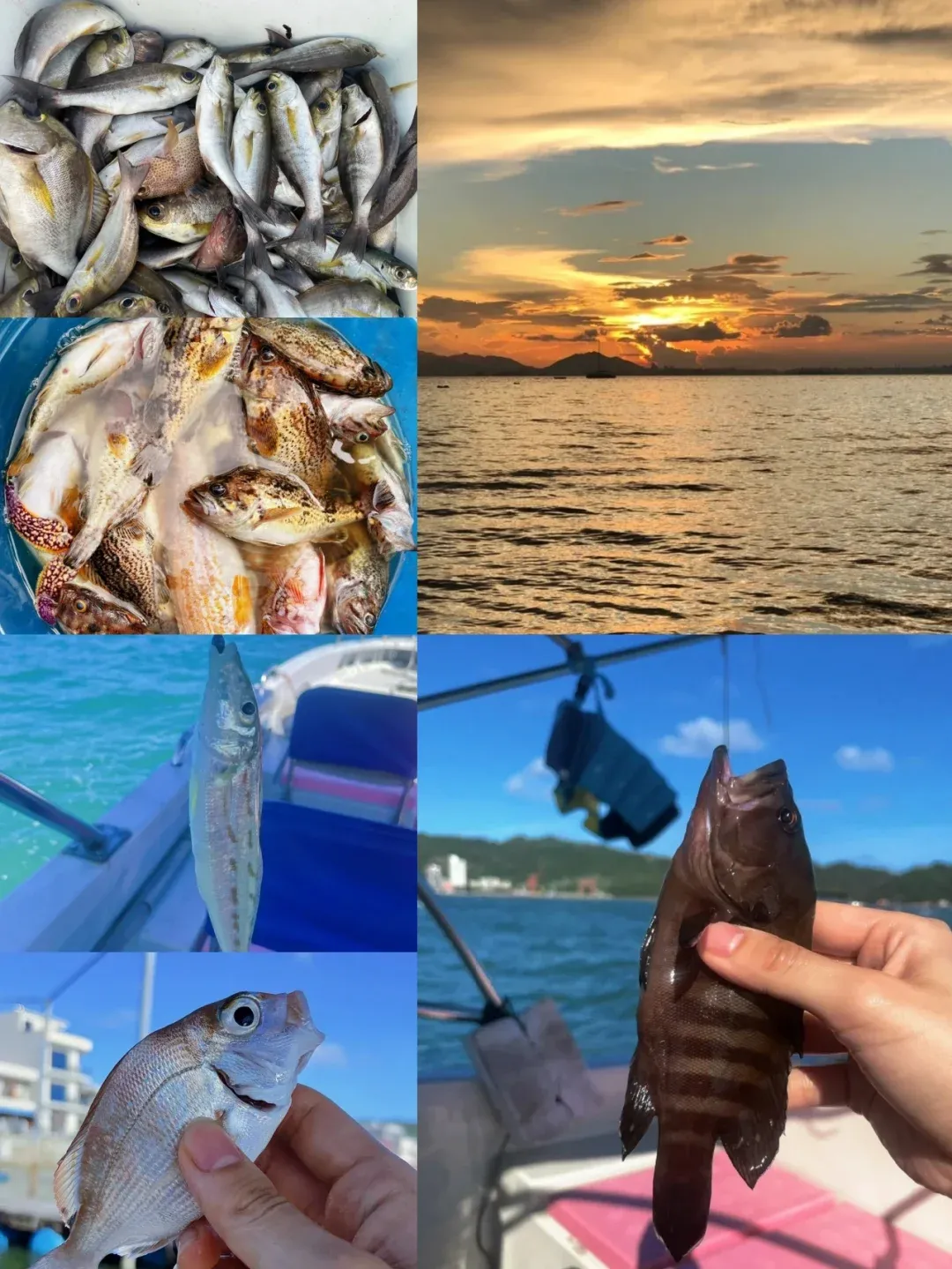 亚婆角海钓视频(路亚野钓视频) 亚婆角海钓视频(路亚野钓视频)