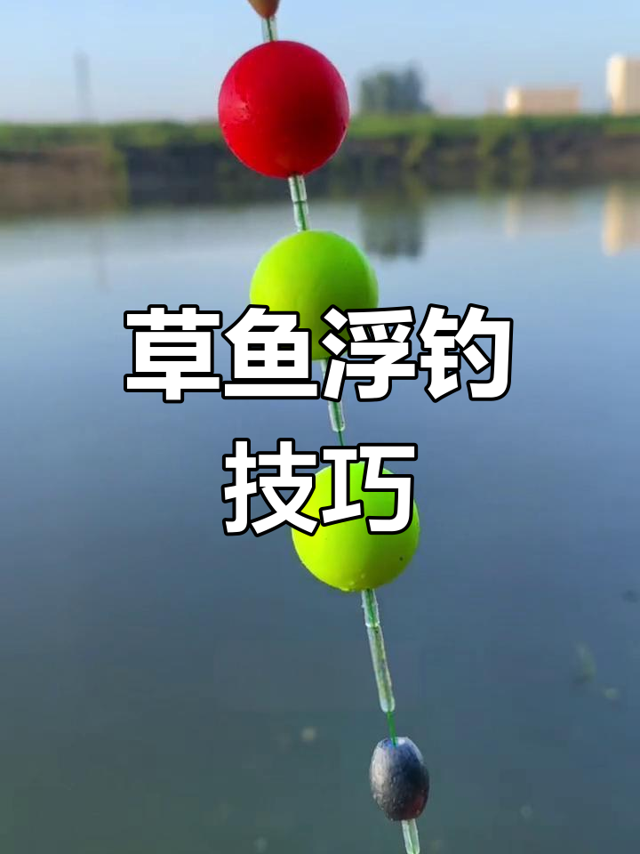 清明后钓草鱼技巧(清明后怎么钓鱼) 清明后钓草鱼技巧(清明后怎么钓鱼)