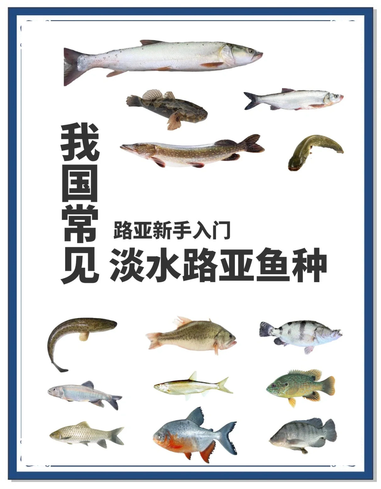 中国路亚攻略(中国路亚攻略书) 中国路亚攻略(中国路亚攻略书)