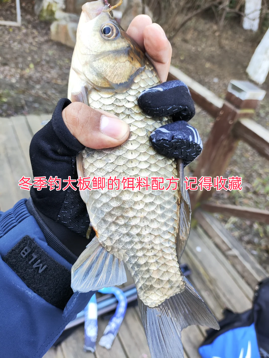 红薯制作饵料搭配(红薯做饵料) 红薯制作饵料搭配(红薯做饵料)