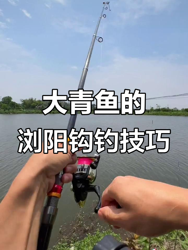 夏天野钓大鱼技巧(夏天野钓大鱼技巧图解)