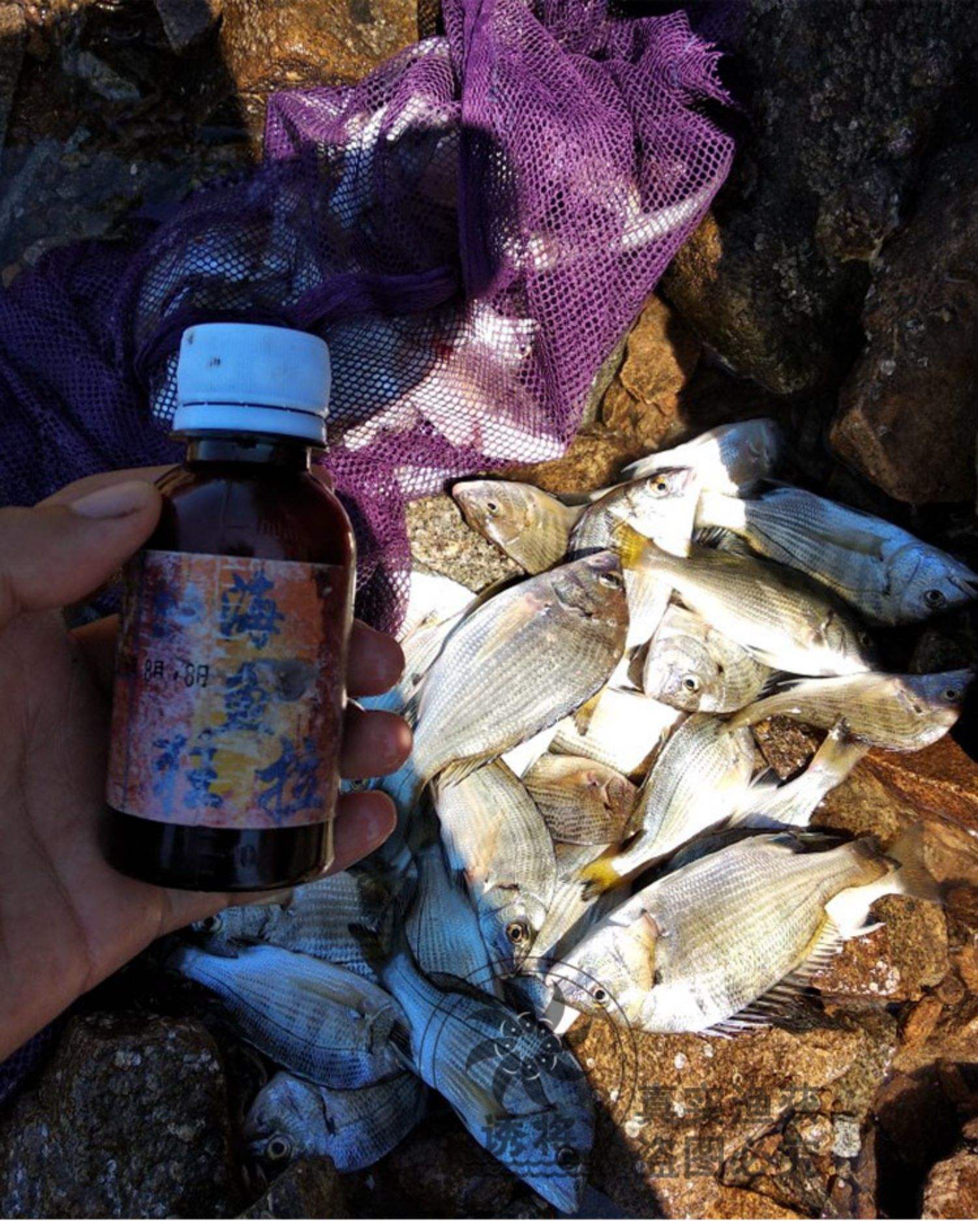 鳕鱼用什么饵料钓(鳕鱼用什么饵料钓比较好)