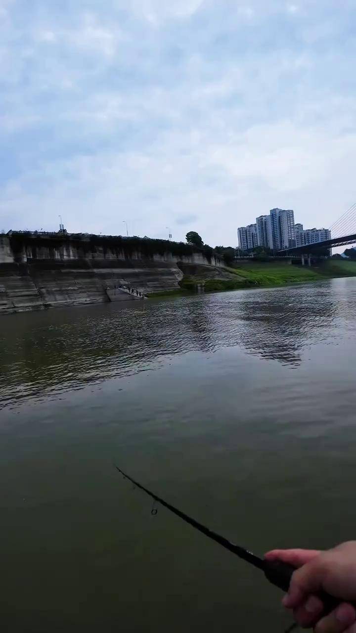 万州路亚被禁(万州路亚群)