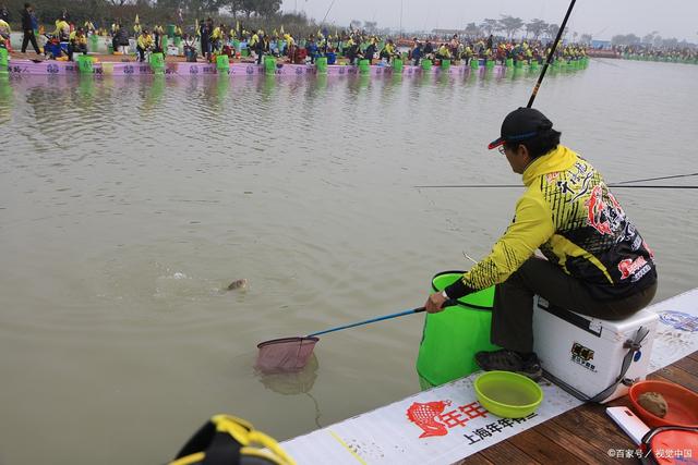 黑坑老滑鱼垂钓技巧(黑坑老滑鱼怎么钓)