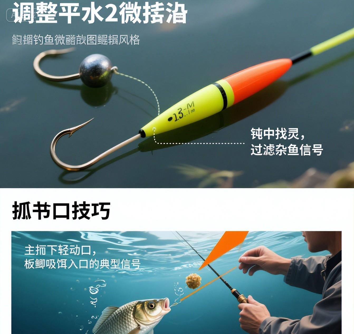 秋天钓鱼选钓位技巧视频(秋天钓鱼选钓位技巧视频讲解)