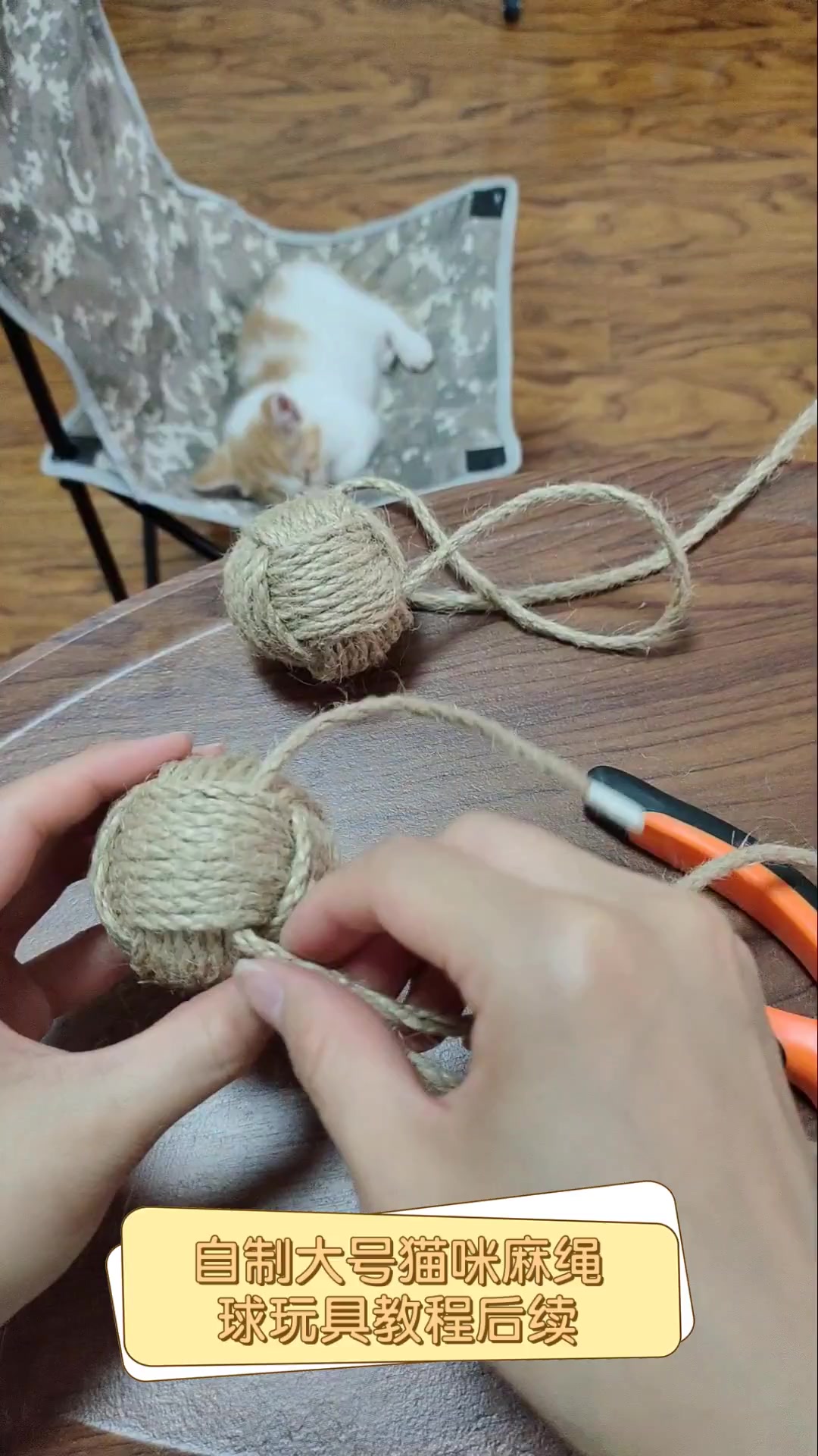 饵料球制作(饵料制作视频) 饵料球制作(饵料制作视频)