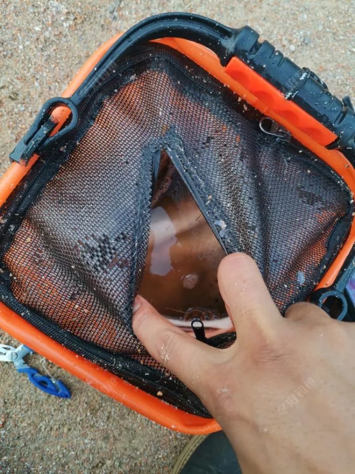 路亚怎么换钱(路亚怎么抛竿详细教程)