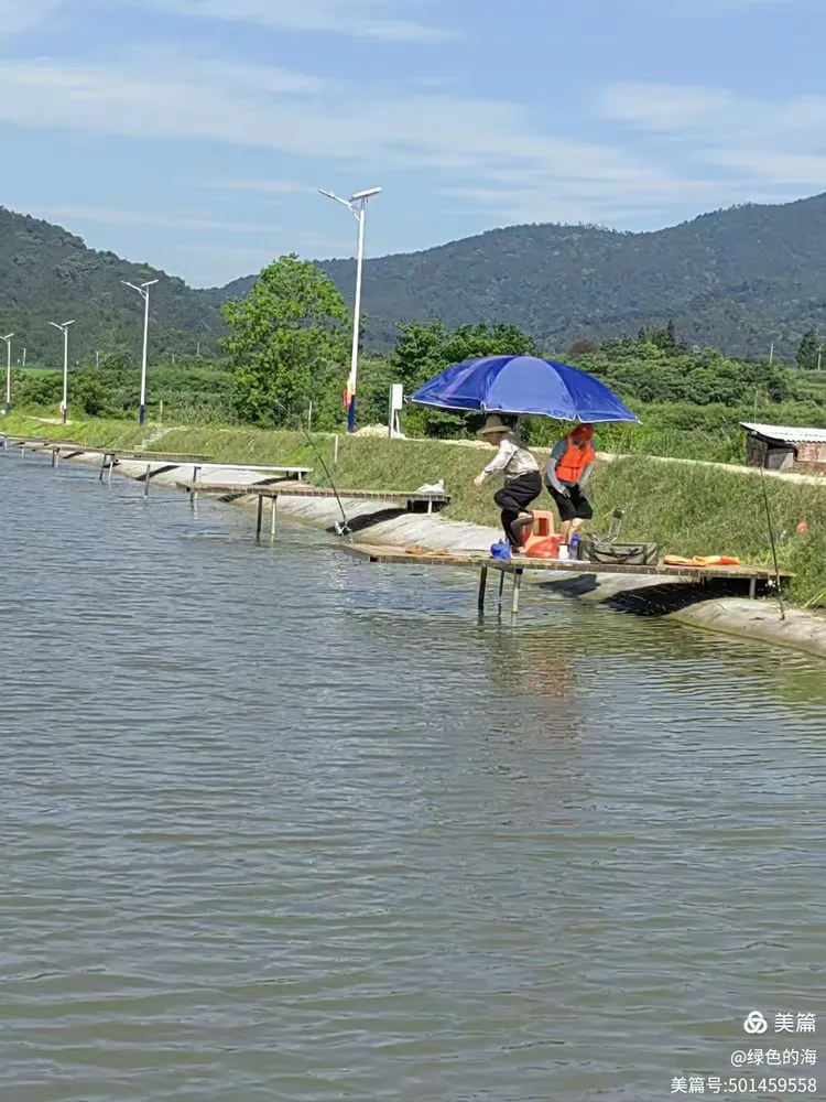 包含1月南方钓皖鱼技巧的词条