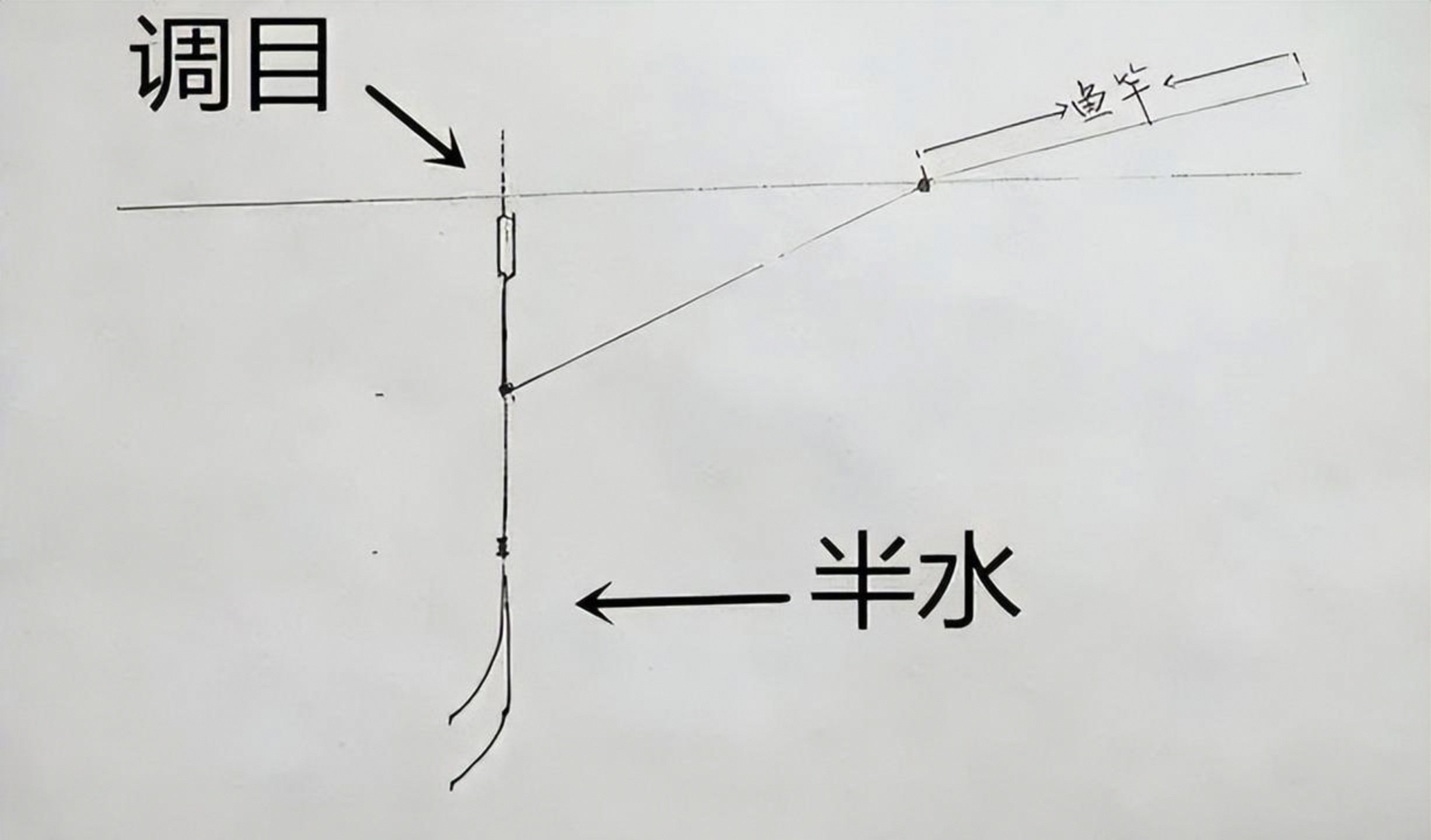 深秋晚上钓鱼技巧(深秋晚上野钓钓深还是钓浅)