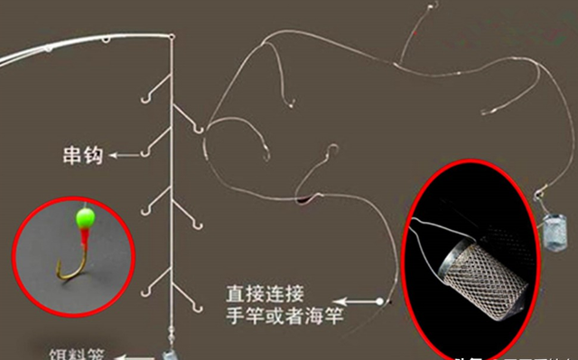 钓兰刀鱼的技巧(钓蓝刀鱼专用饵和钓法) 钓兰刀鱼的技巧(钓蓝刀鱼专用饵和钓法)
