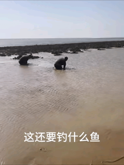 路亚水底动态视频(水底路亚咬饵视频)