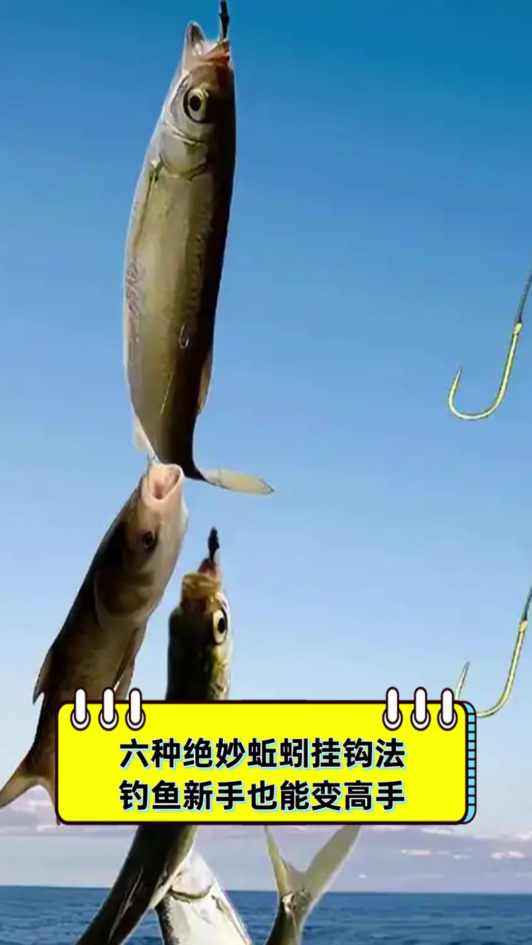 夏季蚯蚓钓鱼技巧(夏天用蚯蚓钓鱼,用什么打窝) 夏季蚯蚓钓鱼技巧(夏天用蚯蚓钓鱼,用什么打窝)