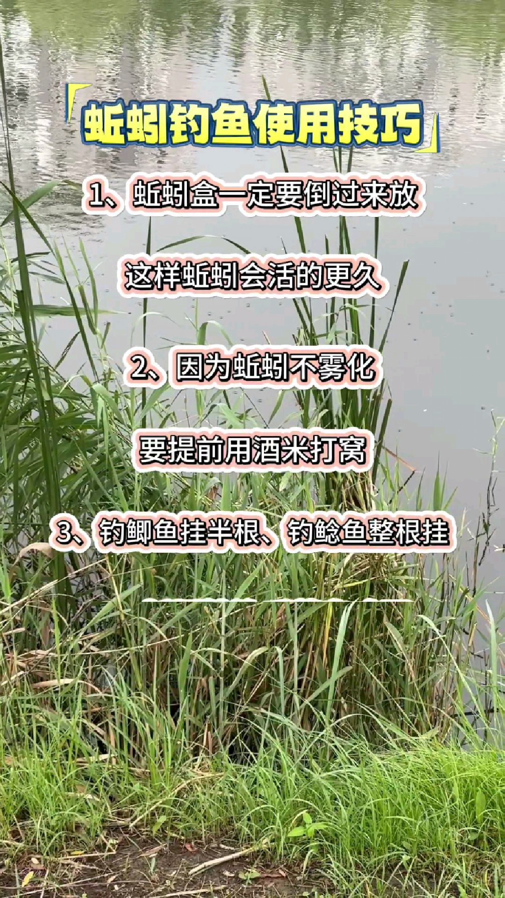 夏季蚯蚓钓鱼技巧(夏天用蚯蚓钓鱼,用什么打窝) 夏季蚯蚓钓鱼技巧(夏天用蚯蚓钓鱼,用什么打窝)