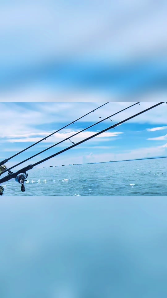 深圳小桂海钓(海钓价格一览表) 深圳小桂海钓(海钓价格一览表)