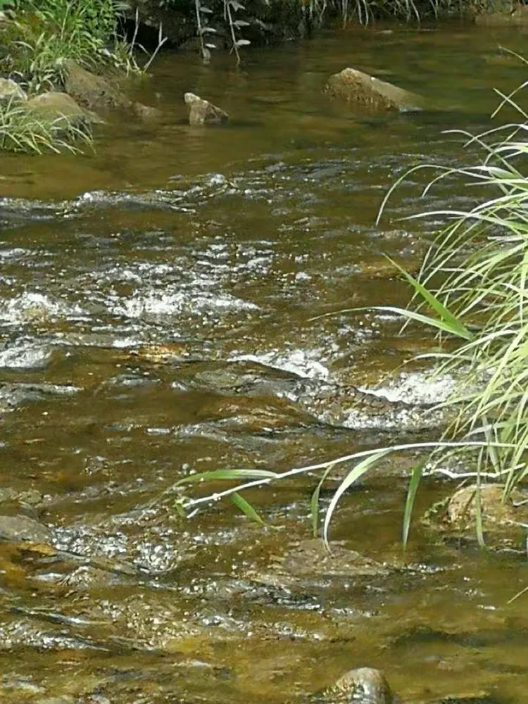 江河漩涡逃生技巧(河流里的漩涡是如何形成的)