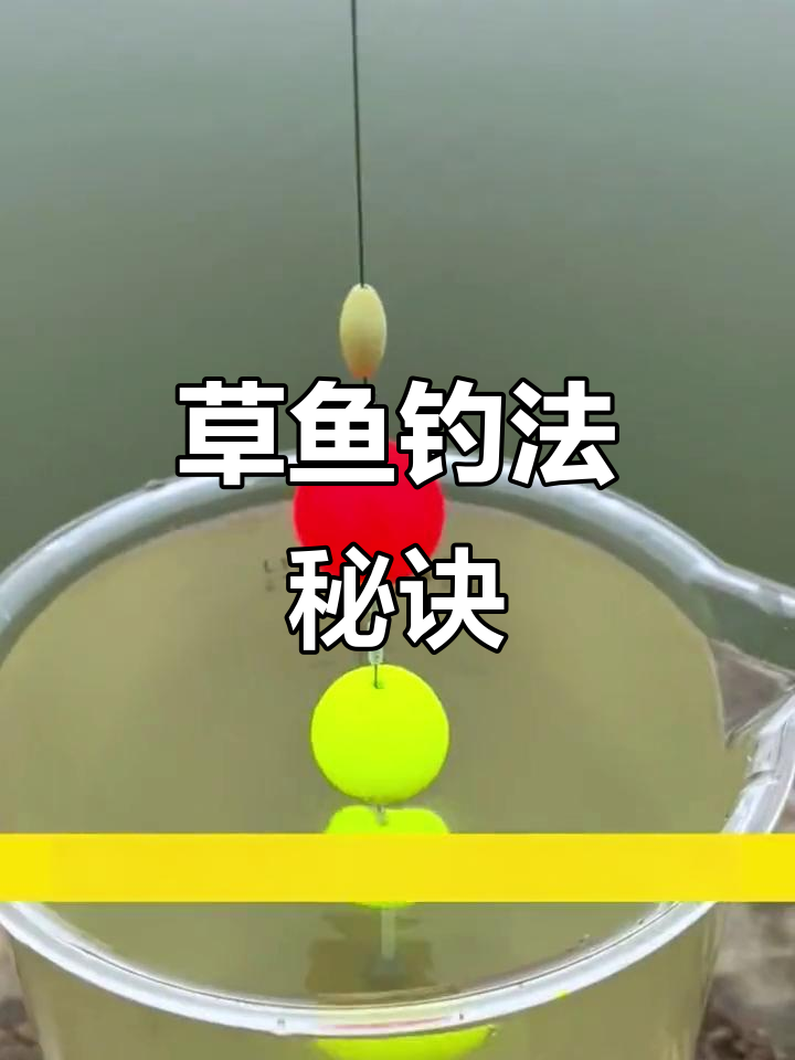 秋天用钓草鱼技巧(秋天草鱼钓法)