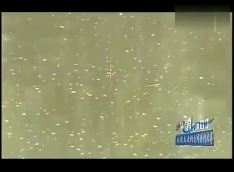 四海钓鱼矶钓视频(口碑最好十大矶钓竿)