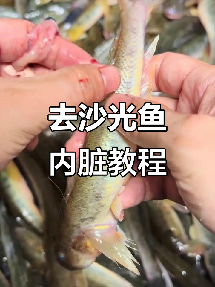 用鱼内脏做饵料(用鱼内脏做肥料)