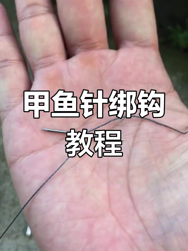 甲鱼电有什么技巧(甲鱼怎么电)